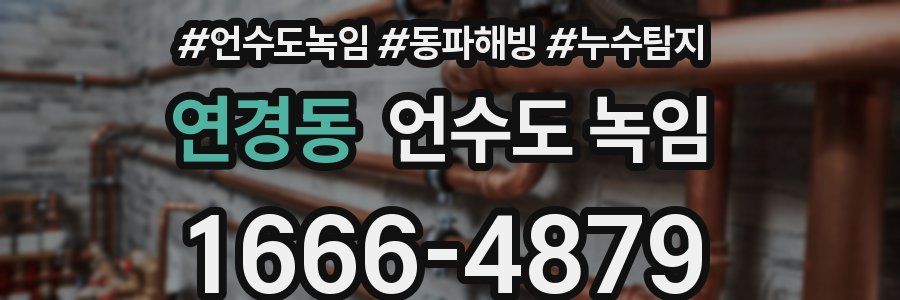 연경동 언수도 녹임