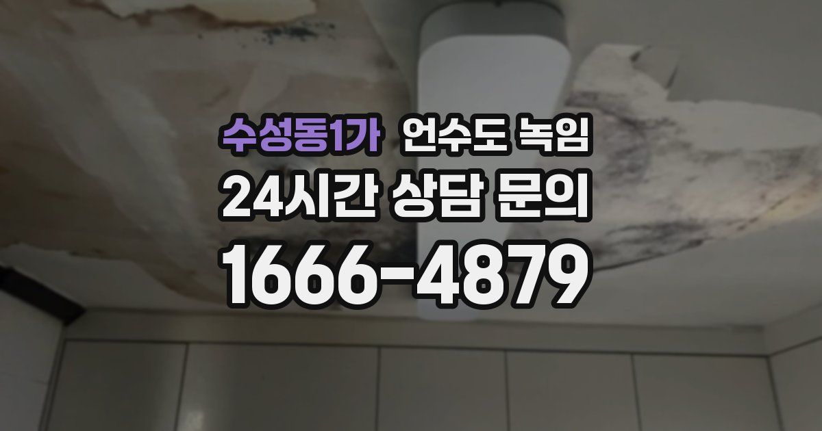 수성동1가 언수도 녹임