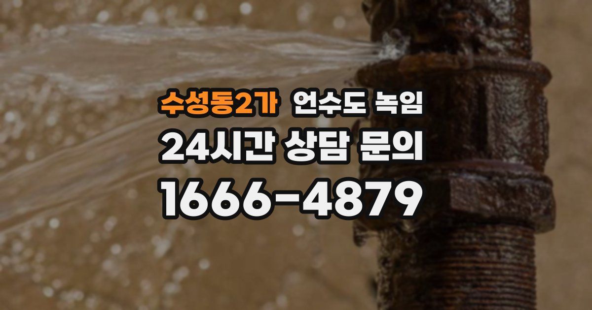 수성동2가 언수도 녹임