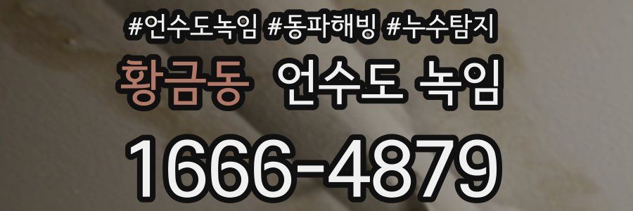 황금동 언수도 녹임