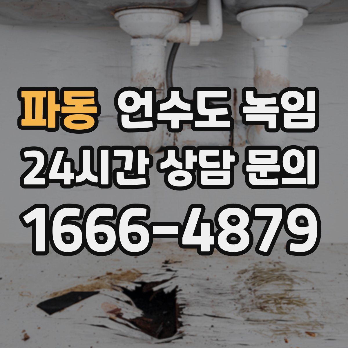 파동 언수도 녹임
