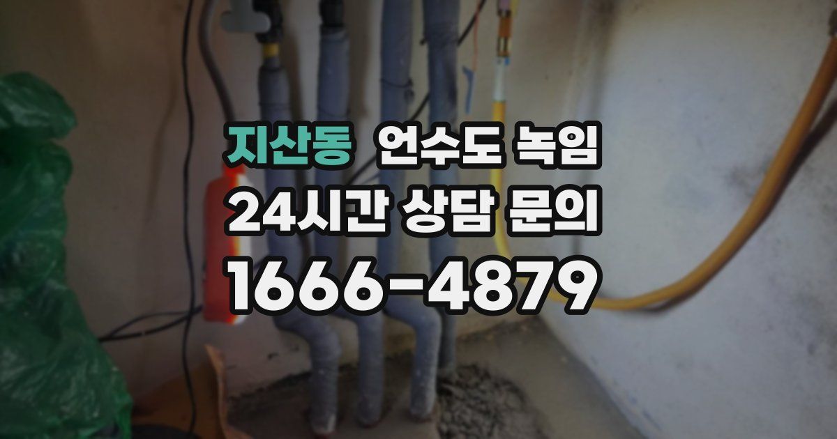 지산동 언수도 녹임