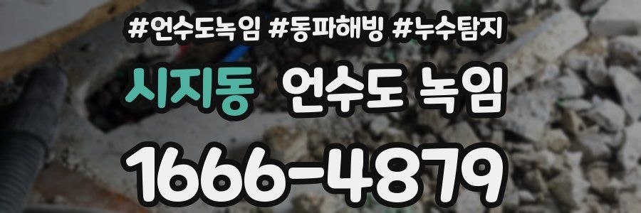 시지동 언수도 녹임