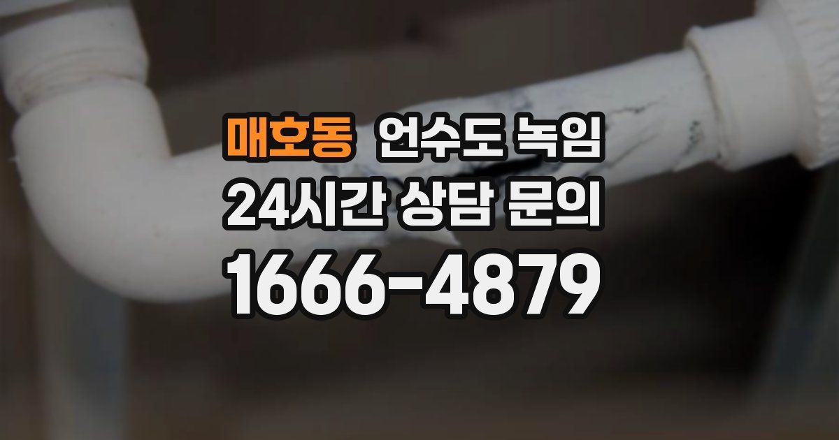 매호동 언수도 녹임