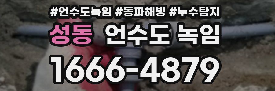 성동 언수도 녹임