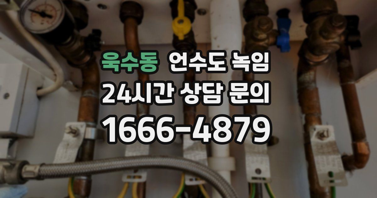 욱수동 언수도 녹임