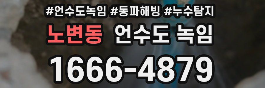 노변동 언수도 녹임