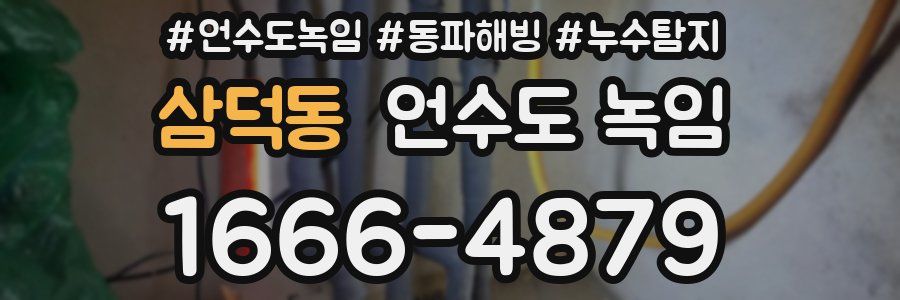 삼덕동 언수도 녹임