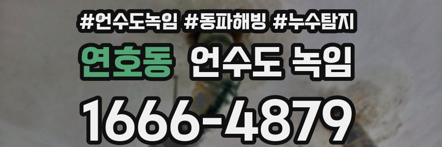 연호동 언수도 녹임