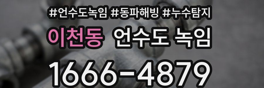 이천동 언수도 녹임