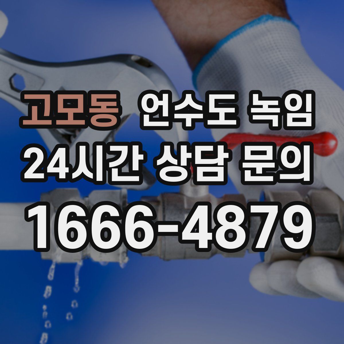 고모동 언수도 녹임