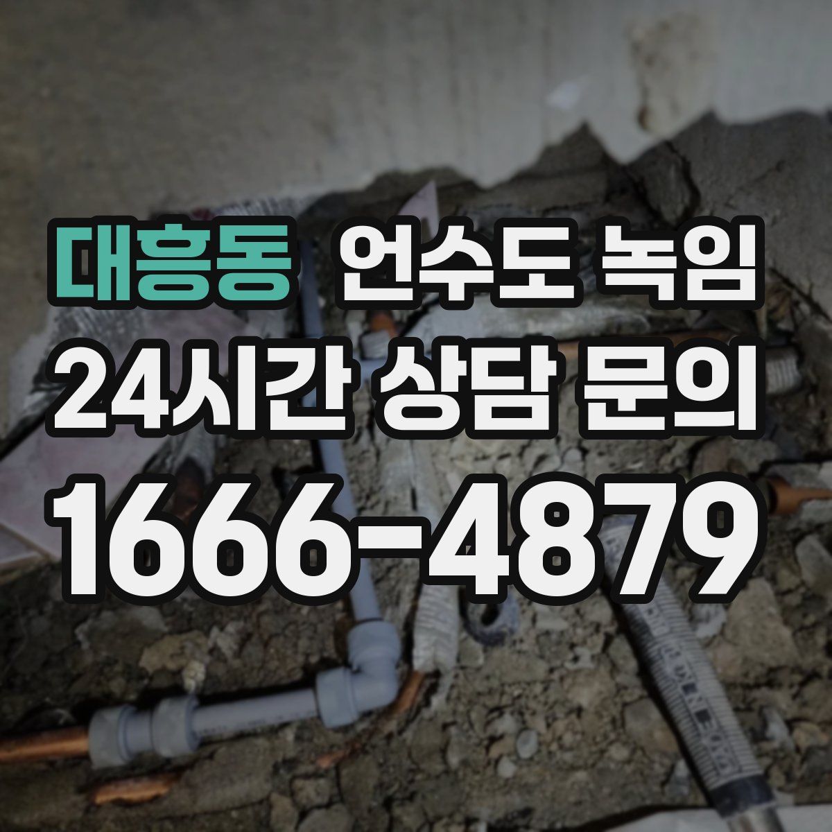 대흥동 언수도 녹임