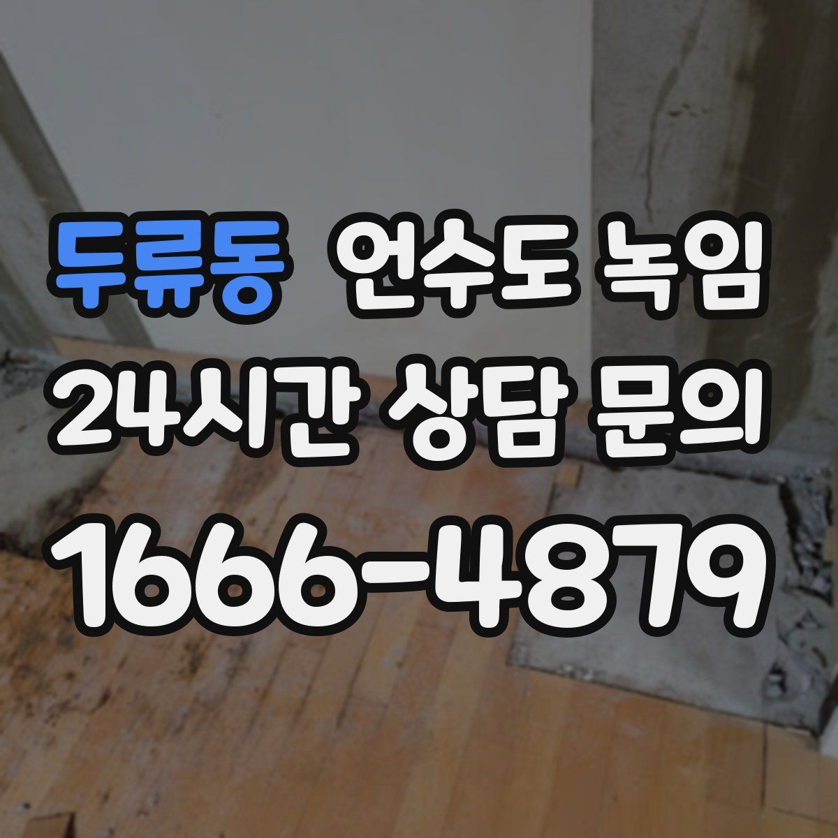 두류동 언수도 녹임