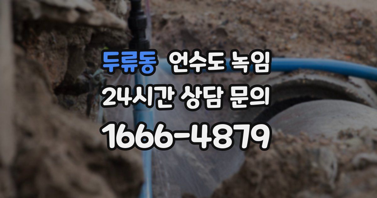 두류동 언수도 녹임