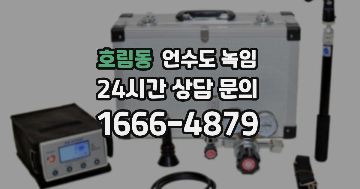 호림동 언수도 녹임