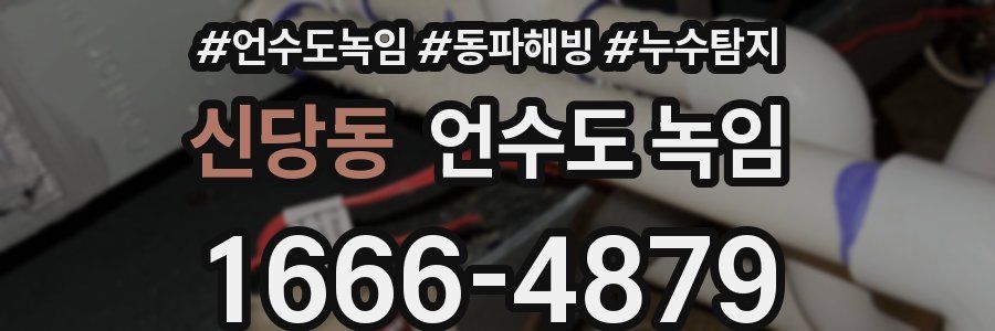 신당동 언수도 녹임