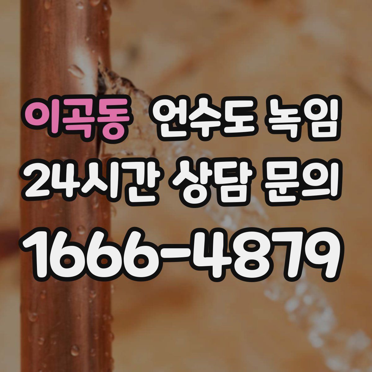 이곡동 언수도 녹임