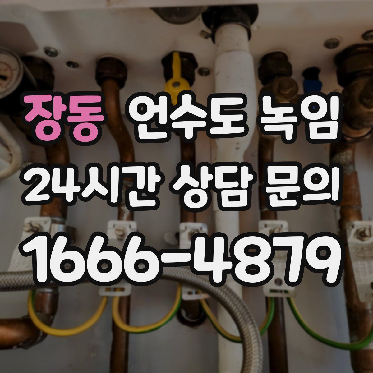 장동 언수도 녹임