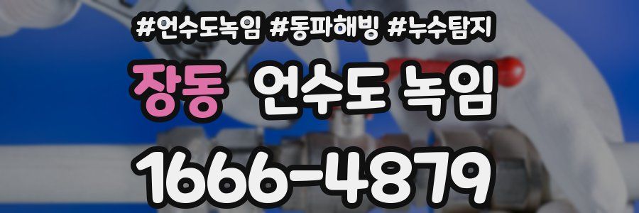 장동 언수도 녹임