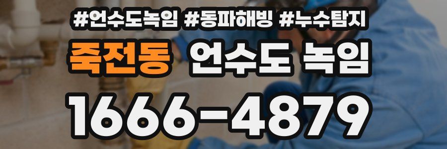 죽전동 언수도 녹임