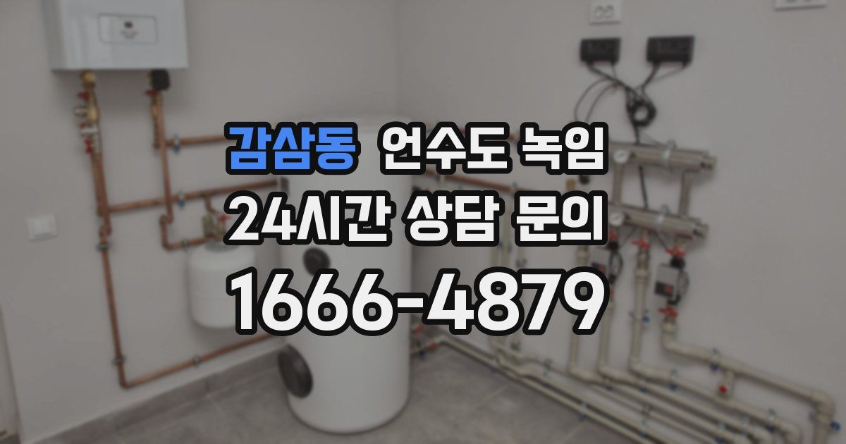 감삼동 언수도 녹임