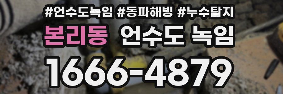 본리동 언수도 녹임