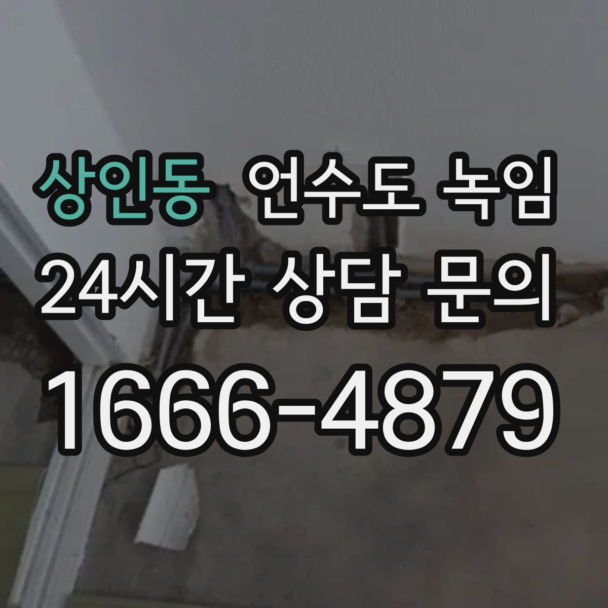 상인동 언수도 녹임