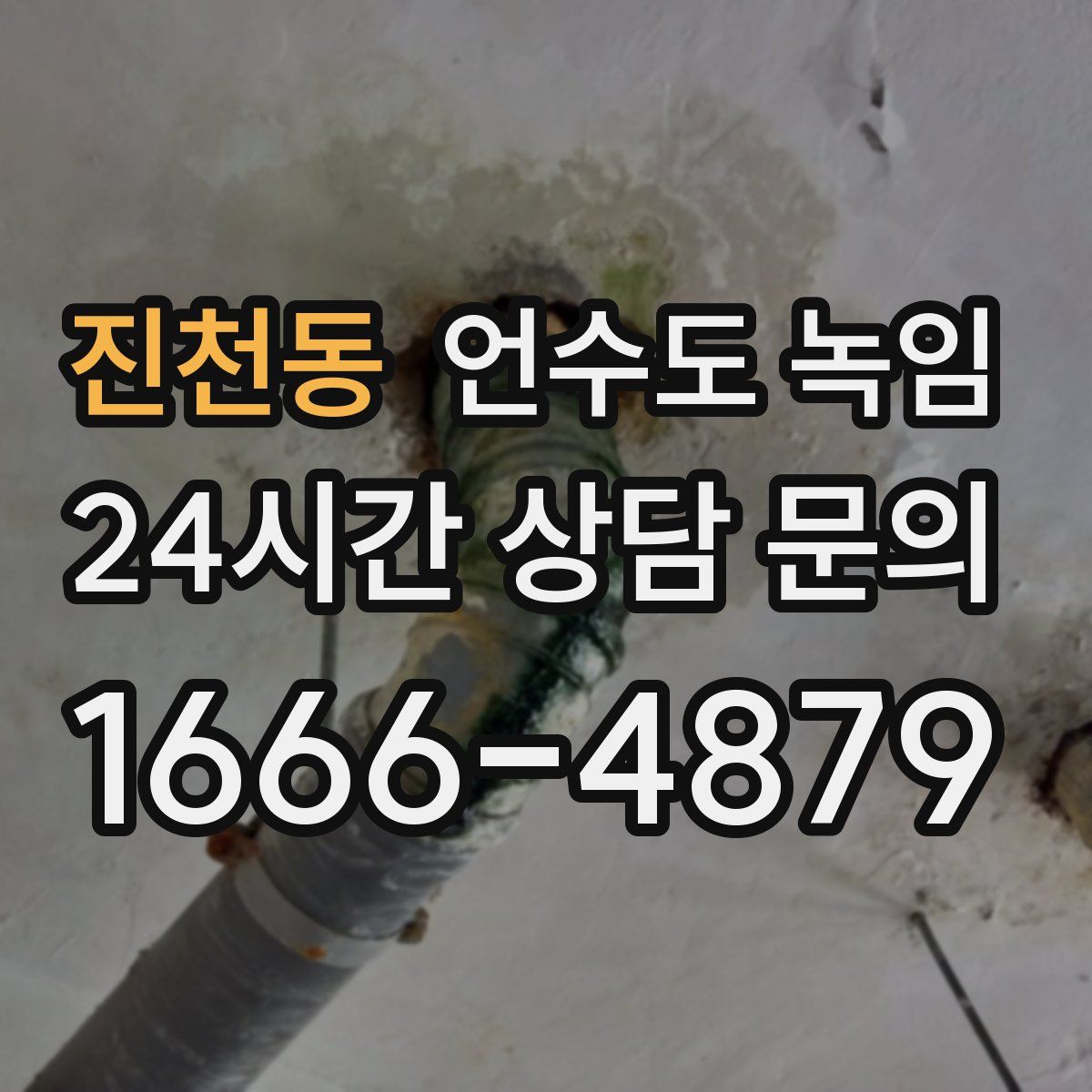 진천동 언수도 녹임