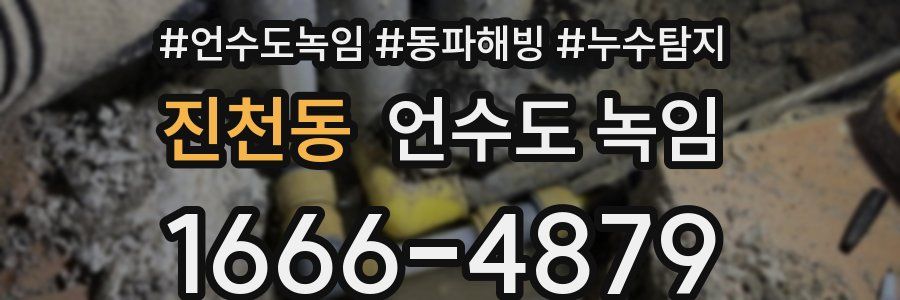 진천동 언수도 녹임