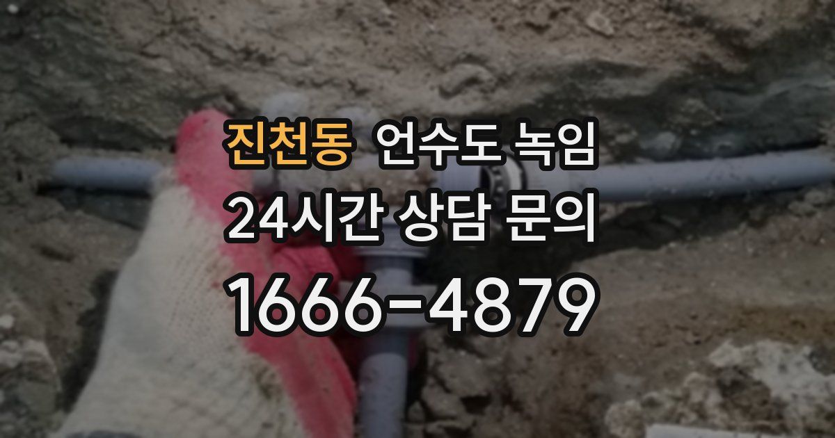 진천동 언수도 녹임