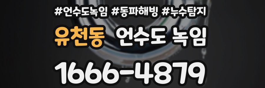 유천동 언수도 녹임