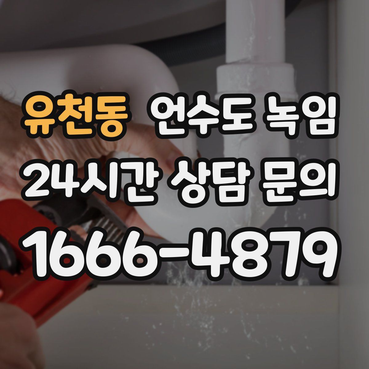 유천동 언수도 녹임