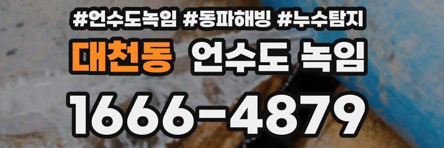 대천동 언수도 녹임