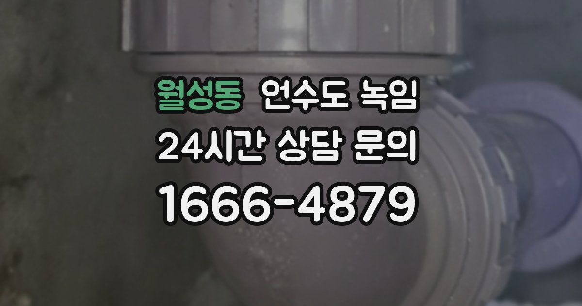 월성동 언수도 녹임