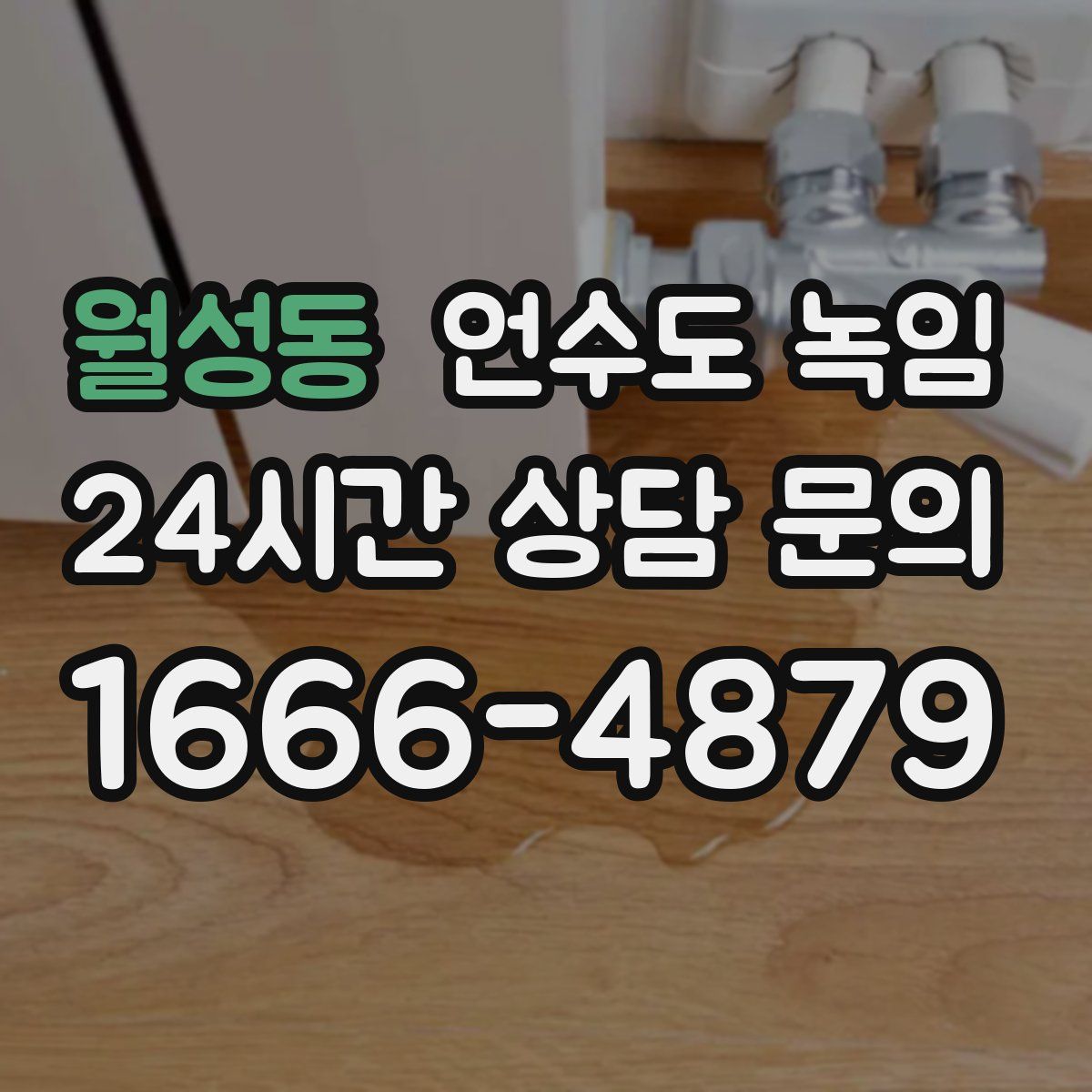 월성동 언수도 녹임