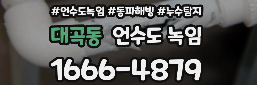 대곡동 언수도 녹임