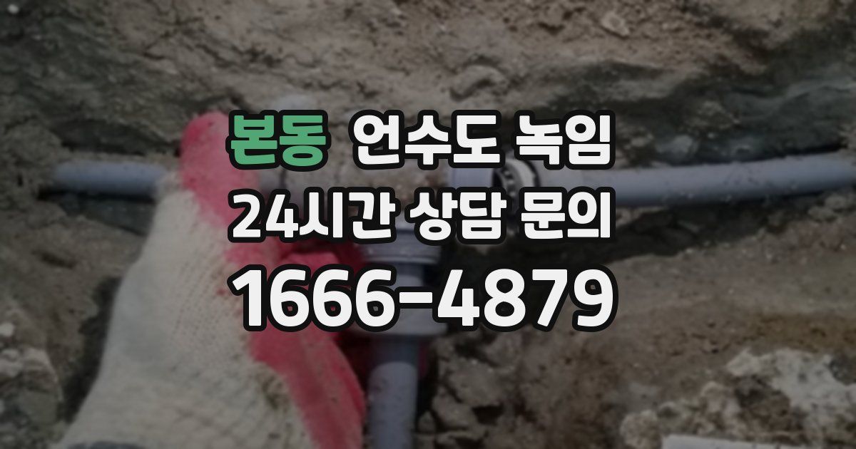 본동 언수도 녹임