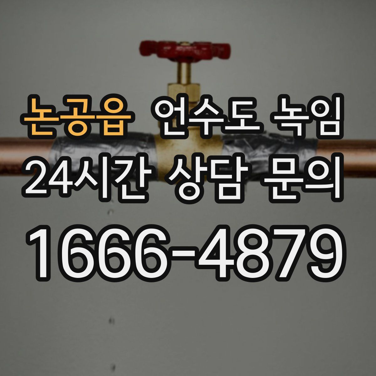 논공읍 언수도 녹임