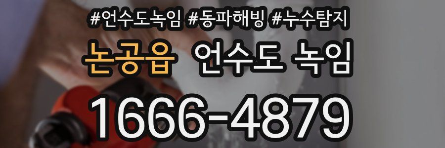 논공읍 언수도 녹임