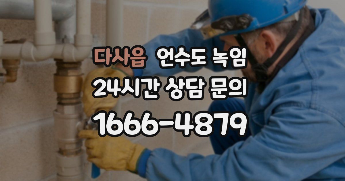 다사읍 언수도 녹임