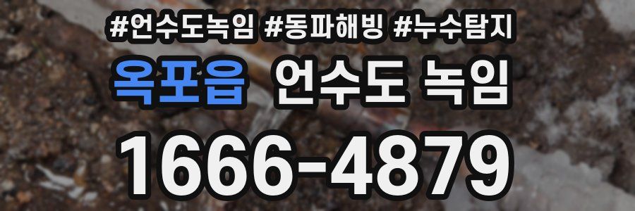 옥포읍 언수도 녹임