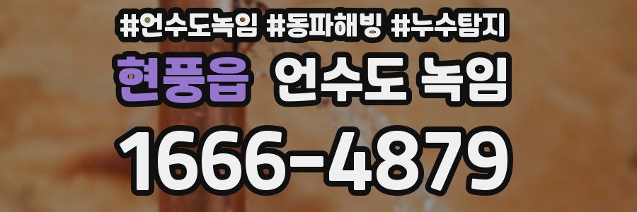 현풍읍 언수도 녹임