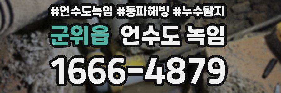 군위읍 언수도 녹임