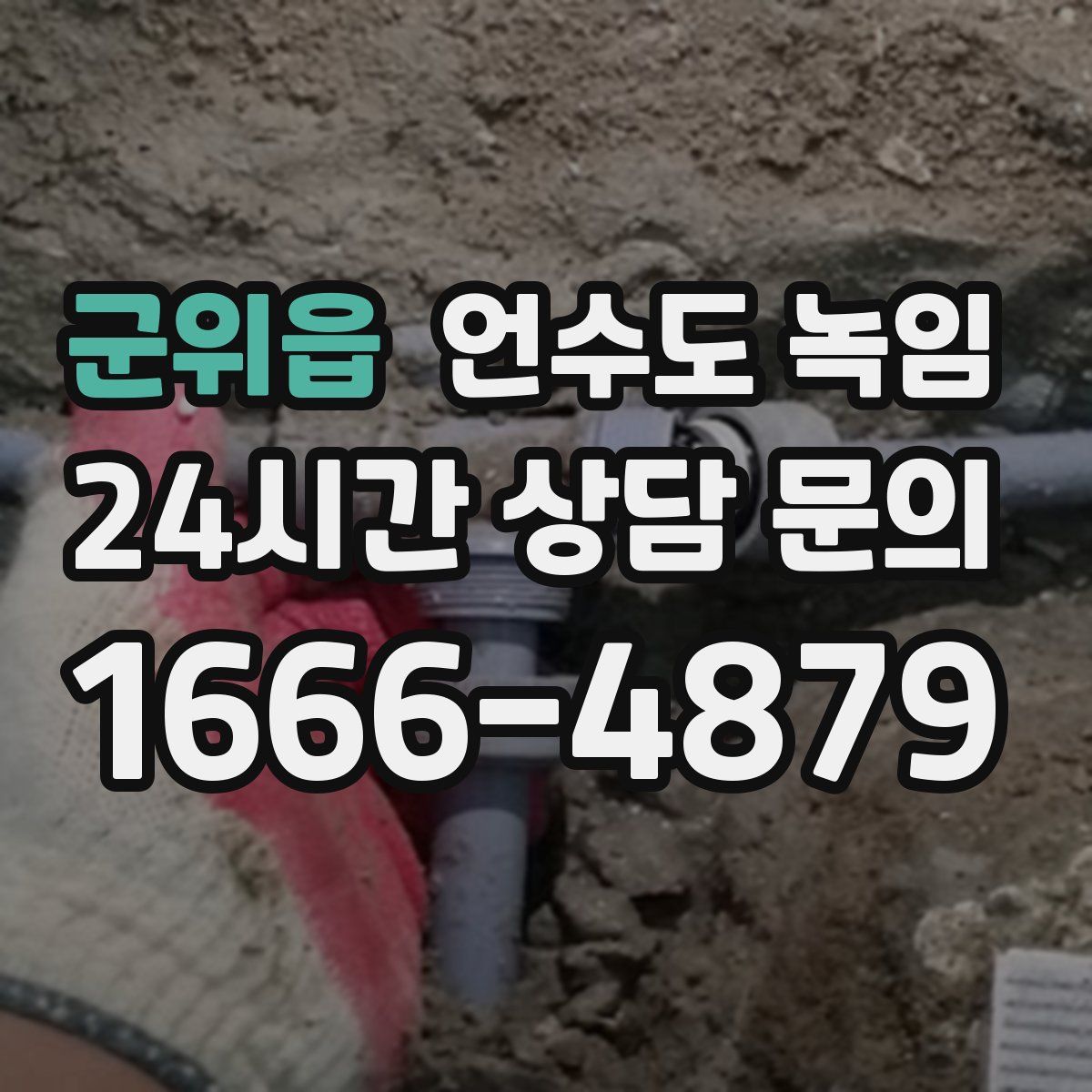 군위읍 언수도 녹임