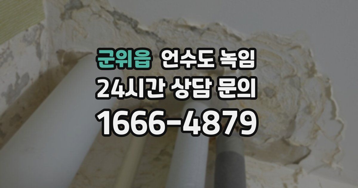 군위읍 언수도 녹임