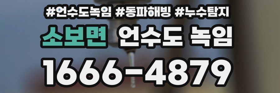 소보면 언수도 녹임