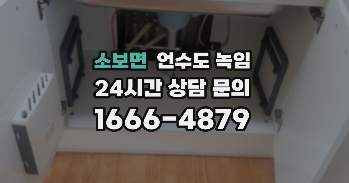 소보면 언수도 녹임