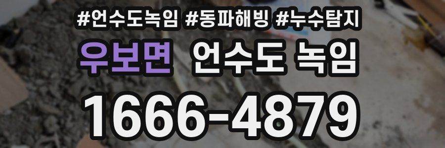 우보면 언수도 녹임