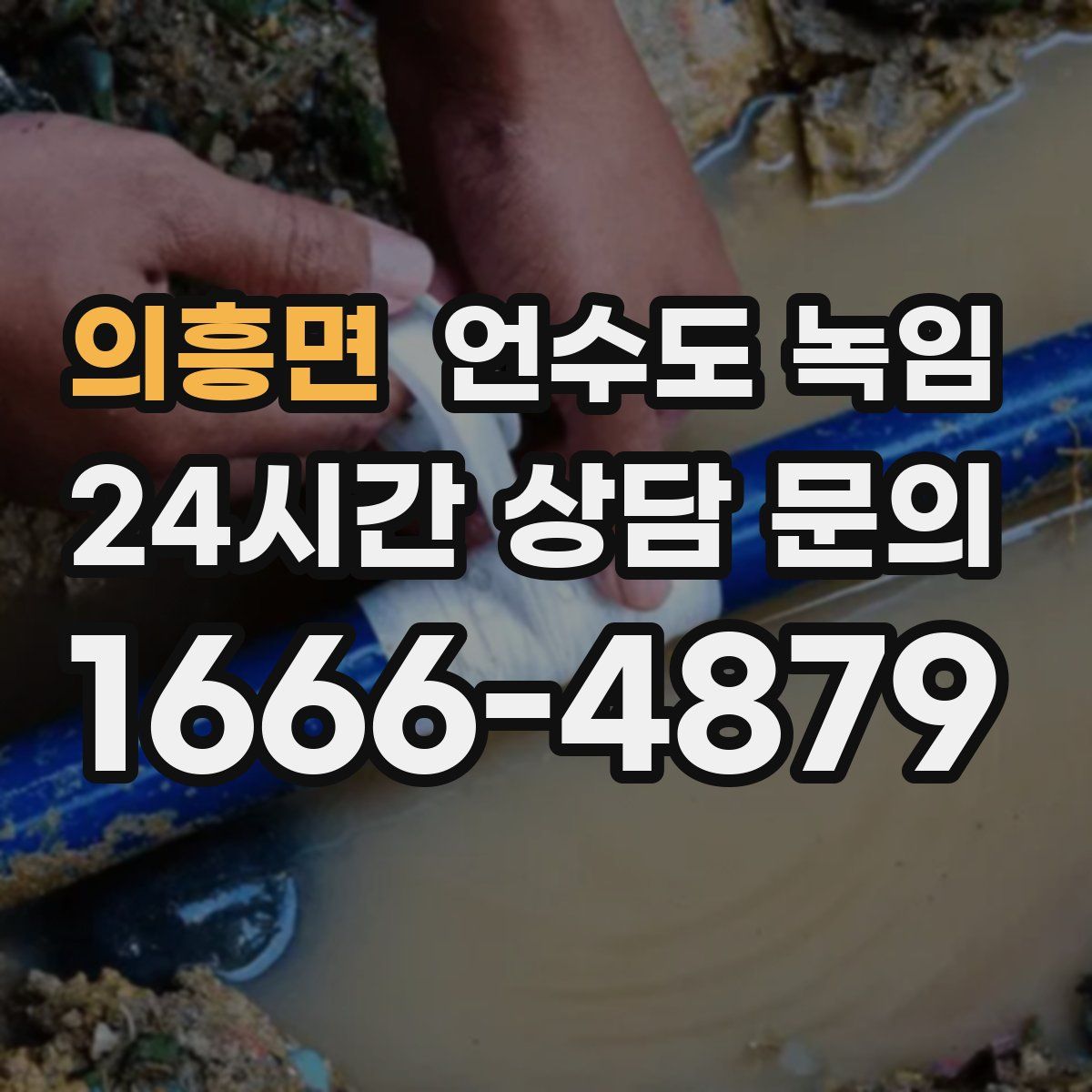 의흥면 언수도 녹임