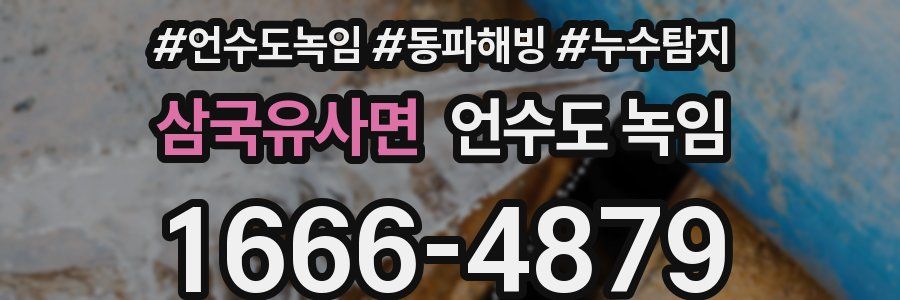 삼국유사면 언수도 녹임